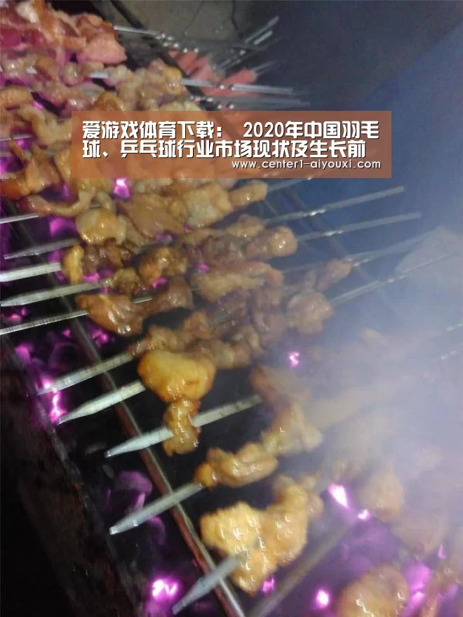 爱游戏体育下载