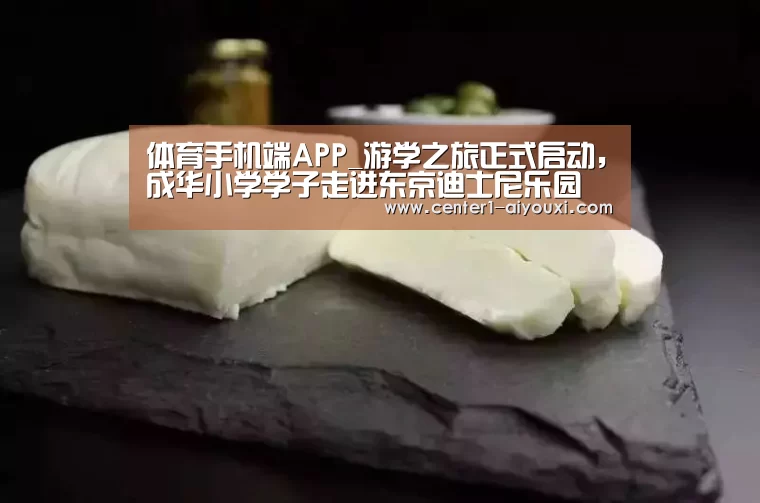 爱游戏app