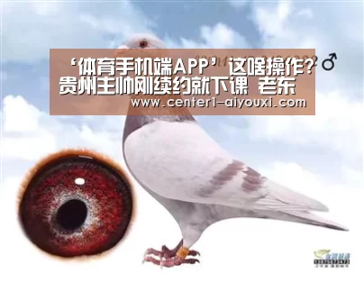 ‘体育手机端APP’这啥操作?贵州主帅刚续约就下课 老东家官宣其回归!(图1) 体育手机端APP