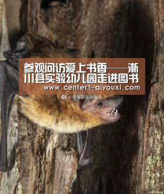 ayx下载