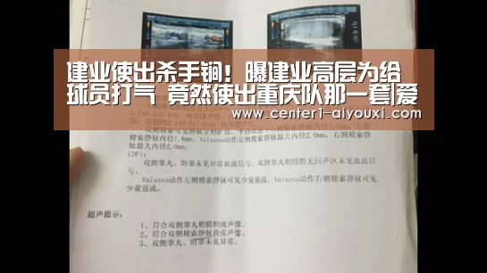 体育手机端APP