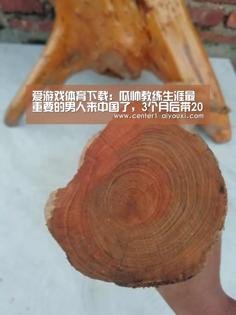 ayx下载