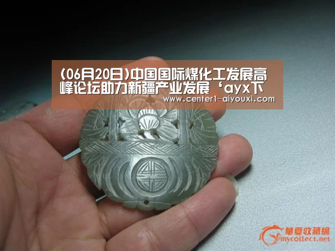 体育手机端APP