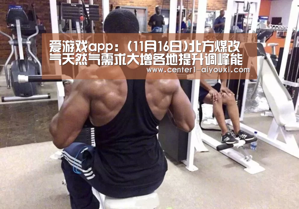 体育手机端APP