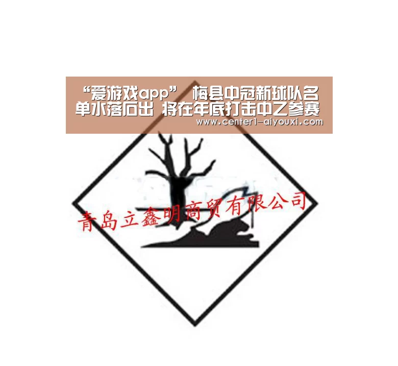 体育手机端APP