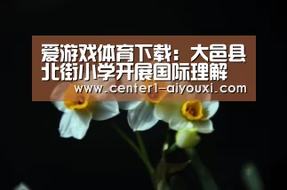 体育手机端APP